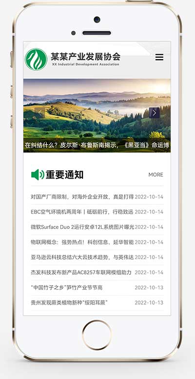 2(自适应手机端)绿色pbootcms产业发展协会网站模板 政府协会网站源码下载